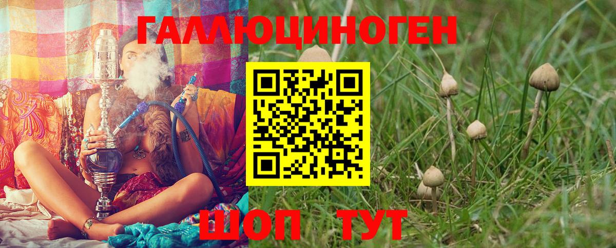 купить  сайты  Галлюциногенные грибы мицелий  Вход с VPN  Волхов 