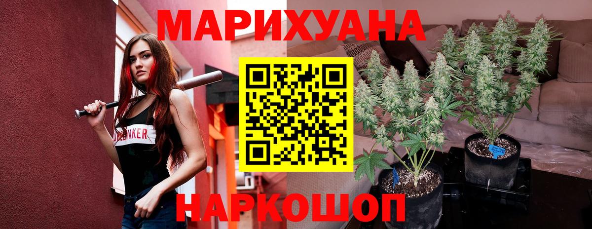 Канабис Amnesia Волхов